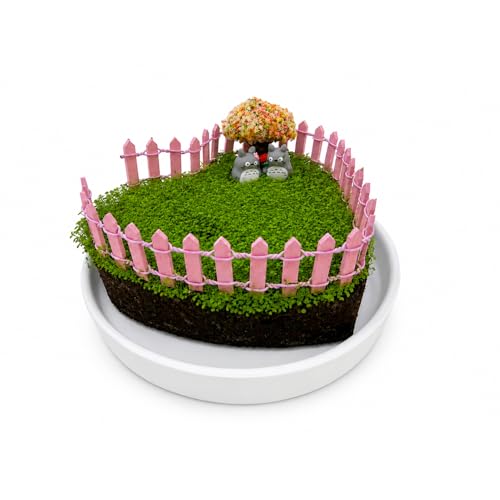 Plant Growing Kit for Kids, Heart-Shaped DIY Mini Garden with Peat Moss & Coco Coir, Planting Activity Kit with Tray and Decorations, Indoor Gardening Gift for Kids - size: Pink Fence