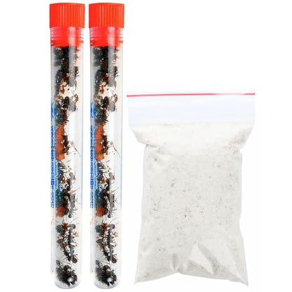50 Live Ants for Ant Farms (2 Tubes) with 10 oz Ant Farm Sand Refill - style: 50 Live Ants+Sand