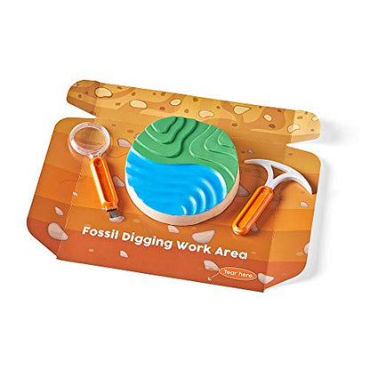 hand2mind Dig & Display Fossil Dig Kit, Fossil Display Case, 8 Real Fossils to Uncover, Dig Kits for Kids, Fossil Digging Kit for Kids, Excavation Kit for Kids, Fossil Science, Archeology Kits