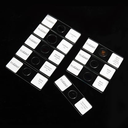 Nervous System Prepared Microscope Slides Set, 9 Pack Nerve Fiber, Motor Neuron, Spinal and More Typical Nervous System Specimens for Biology Science Class