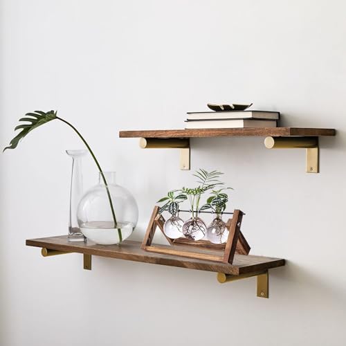 Kingbuy Plant Propagation Station, 3 Glass Bulb Vases with Wooden Stand - size: 3 Bulb Vase