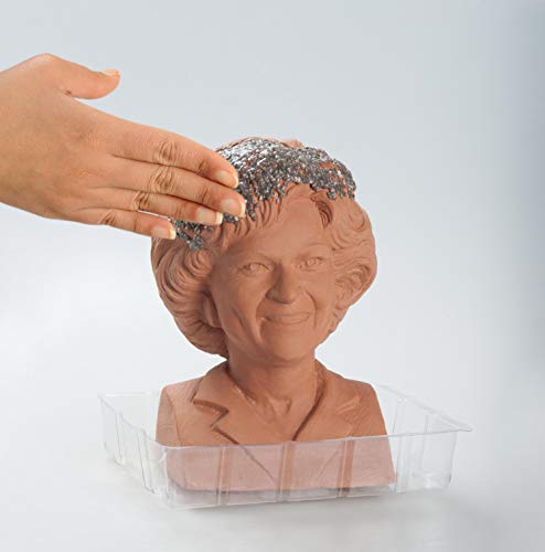 Chia Pet Golden Girls Rose Terracotta Planter with Seed Pack - style: Golden Girls - Rose