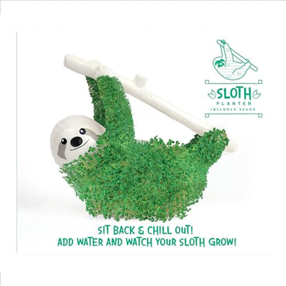 Sloth Shaped Chia Planter and Seeds. Desktop Sprouting Chia Animal. Fun Grow Kit Gift Idea - size: Sloth