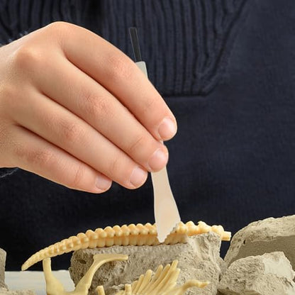 BESPORTBLE Kids Digging Tools 3.54in Lightweight Dual-Ended Brush and Chisel Excavation Kit for Kids Ages 4-8 Stem Science Archaeology Learning Toy for Dinosaur Digging and Practical Skills