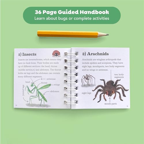 Tiger Tribe Bug Spotter Kit – Nature Exploration for Kids, Collector Box, Magnifying Lid, Bug Identification & Activity Booklet. Kids 4-8 Years