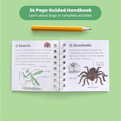 Tiger Tribe Bug Spotter Kit – Nature Exploration for Kids, Collector Box, Magnifying Lid, Bug Identification & Activity Booklet. Kids 4-8 Years