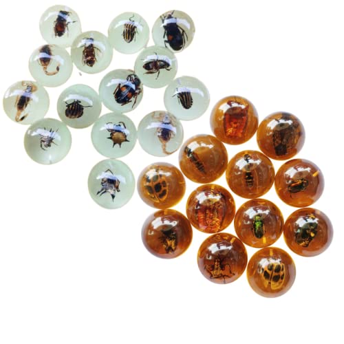 Multiple Psc Spherical Insect Amber Fossil, Spherical Luminous Insect Specimen, Educational and Scientific Amber Collection (8Pcs)