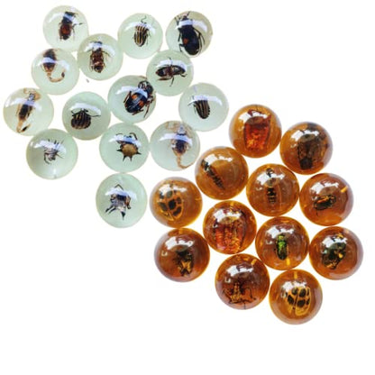 Multiple Psc Spherical Insect Amber Fossil, Spherical Luminous Insect Specimen, Educational and Scientific Amber Collection (8Pcs)