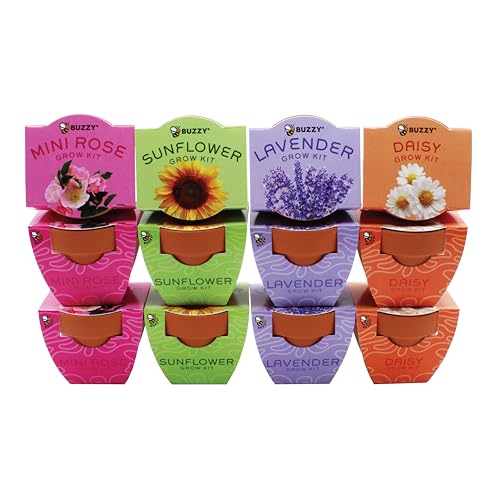 BUZZY Seeds Bright Series Grow Kit 12-Pack, Terracotta Pots, Assorted