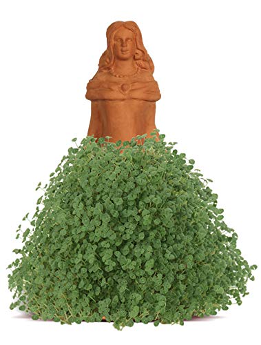 Chia Pet Princess with Seed Pack, Decorative Pottery Planter, Easy to Do and Fun to Grow, Novelty Gift, Perfect for Any Occasion - style: Princess