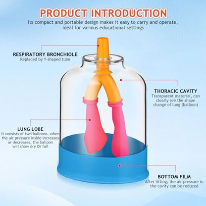 ULTECHNOVO Human Lung Breathing Model, Compact Anatomical Diaphragm Movement Demonstration Kit for School Science Classroom & Biology Lab, Educational Interactive Anatomy Learning Aid for Kids Student
