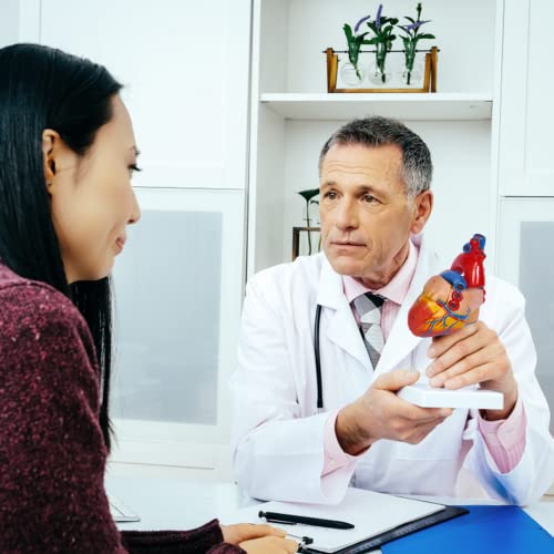 breesky Life Size Human Heart Model, Anatomically Accurate 2-PartMedical Model with 48 Anatomical Structures & Mounted Display Base & Number Manual for Classroom & Cardiology Study - style: 48-Numbered Anatomical Heart Model