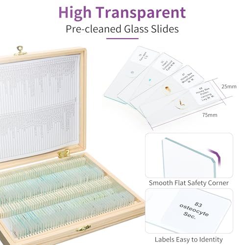 100PCS Microscope Slides with Specimens with Wooden Box, LVQ092 - color: Slides 100PCS