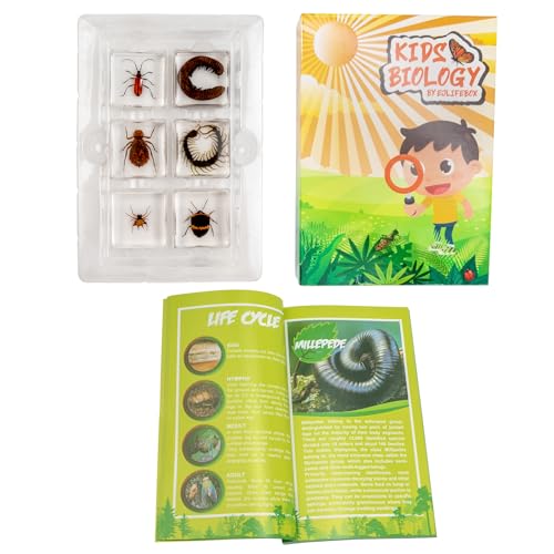 Insect Specimen Set, Bugs Collection Scientific Education Gift for Kids Aged 3-8-12 (Millipede, Centipede, Dragonfly Larvae, Tea Seed Bug, Red Longhorn Beetle, Spiny Spider) - style: Millipede, Centipede, Dragonfly Larvae, Tea Seed Bug, Red Longhorn Beetl