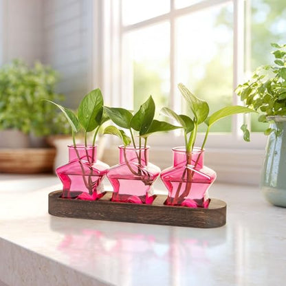 XXXFLOWER Plant Propagation Station with Wooden Stand 3 Pink Star Jars - color: Pink
