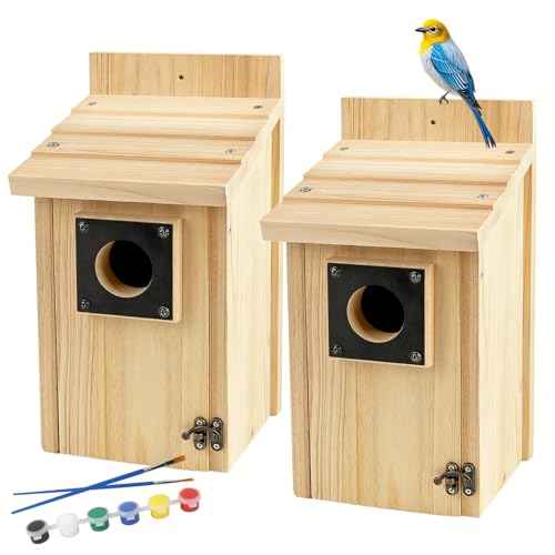 2 Pack Wood Bird Houses for Outside with Paint Set for Bluebird Finch Swallow Wren Chickadee, Crafts & DIY Birdhouse Kits for Adults & Kids to Build - style: Small x 2
