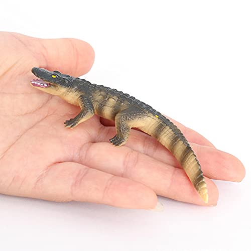 Crocodile Growth Cycle, Animal Growth Cycle Biological Model Toy Growth Stage Lifelike Crocodile Life Cycle Model Set for Kids Education Insect Themed Party Favors - style: Crocodile