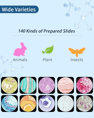 140-Pcs Microscope Slides with Specimens,Plant, Animal, Algae,etc,Educational Microscope Slides and Covers for Young Scientists,Perfect for Biology Class and Experiments - style: 140pcs