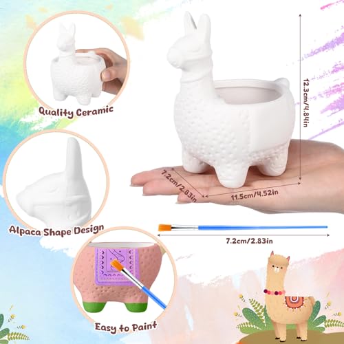Pasimy 6 Set Ceramics to Paint DIY Succulent Planter Pots, Alpaca - style: Alpaca
