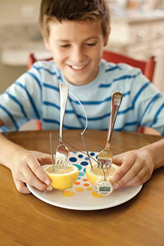 4M Kidzlabs Lemon Powered Clock, Chemical Electrical Science Lab Experiment - STEM Toys Educational Gift for Kids & Teens, Girls & Boys 12 Count (Pack of 1) - style: Lemon Powered Clock