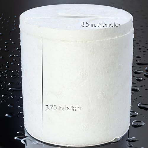 Eisco - Polystyrene Cup Calorimeter with Lid for Simple and Effective Calorimetry - Economical Design for Measuring Heat of Reaction - STEM, Chemistry, and Classroom Use