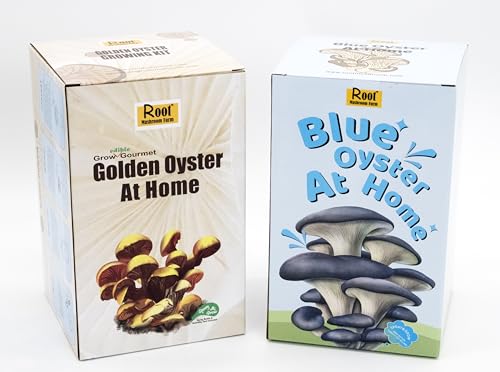 Two Mushroom Grow Kits, 3Lb Each (Blue Oyster & Golden Oyster) - style: Blue Oyster & Golden Oyster