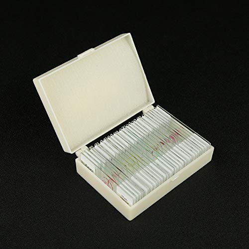 Prepared Parasitology Microscope Slide Set, Excellent 30pcs Slides Resource for Instruction at The College Level (Parasitology) - color: Parasitology