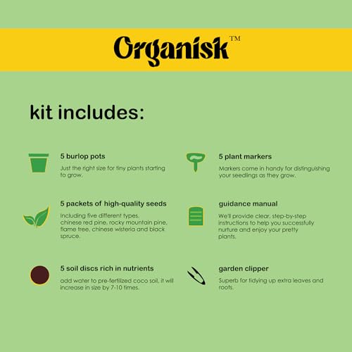 Bonsai Starter Kit - 5 Unique Tree Types, Special DIY Garden Hobby Kits - Great for Plant Lovers, for Kids, Men, Women, and Bonsai Enthusiasts