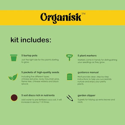 Bonsai Starter Kit - 5 Unique Tree Types, Special DIY Garden Hobby Kits - Great for Plant Lovers, for Kids, Men, Women, and Bonsai Enthusiasts