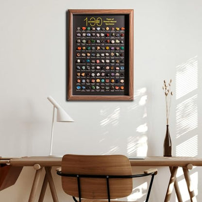 ACODE Natural Mineral Specimen Shadow Box, Geology Collection Display Case, Home Decor Wall Art Tabletop Display with Real Rocks Crystals, Gift for Birthday Christmas Housewarming Children's Day