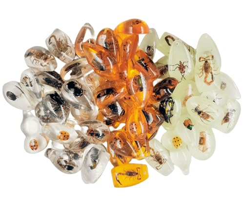 Real Specimens of Various Butterflies and Beetles Made of Resin, Used for Science Classroom Science Education Animal Specimens, Bug Preserved,Oddities, Biology (25Pcs Irregular Small Amber) - color: 25 Pcs Irregular Small Amber