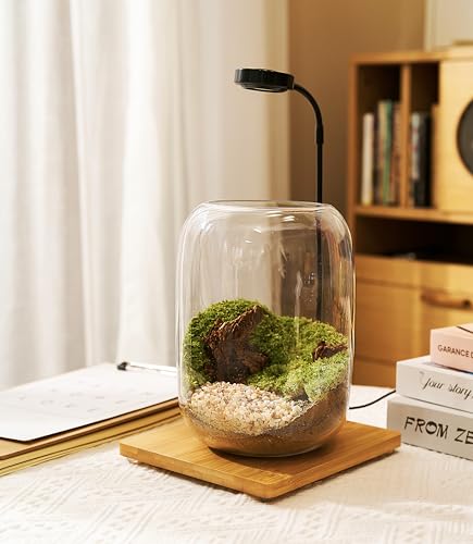LuckyRunes Premium Terrarium Kit with Live Moss, 24-Piece Glass Set - size: Round Set