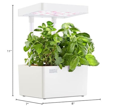 Back to the Roots v1.0 Hydroponic Grow Kit, 2022 Model