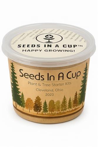 Seeds in A Cup: Tree Starter Kit - Cedar Tree Growing Kit for Indoor/Outdoor use - style: Cedar
