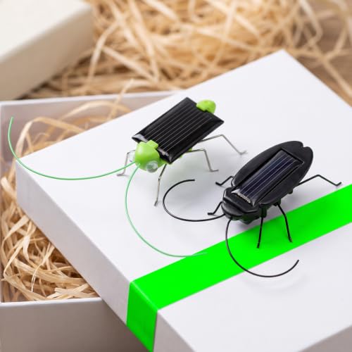 6PCS Solar Powered Bugs Toys Lifelike Solar Crickets Grasshopper Insect Toys for Boys Girls Fake Roaches Moving Simulation School Science Educational