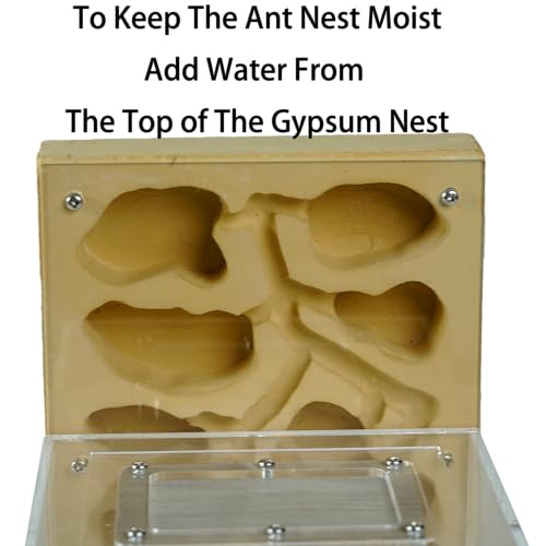 Cave Tower Plaster Ant Farm with Outworld and 10 mm Ports
