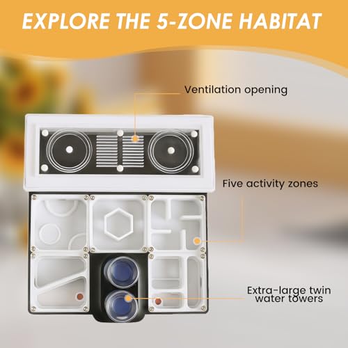 Ant Farm Nest - Educational Habitat - Black and White Acrylic Design with Built-in Water Tower and Clear Observation Area (L) - size: L