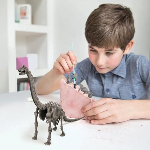 4M Dig a Brachiosaurus Skeleton Kit for Kids Ages 8-12 – Jurassic Fossil Excavation Set with 14 Realistic Bones, STEM Paleontologist Digging Kit with Hammer, Chisel & Brush, Educational Gift