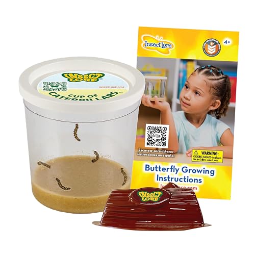 Insect Lore Cup of Caterpillars - 5 Live Painted Lady Caterpillars with Food - Refill for Butterfly Garden Kit - Chrys-A-Lid Holding Log Included - STEM Learning Activity