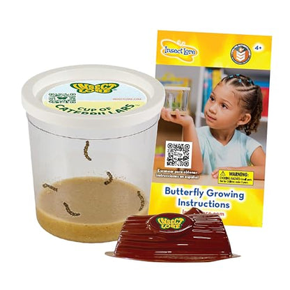 Insect Lore Cup of Caterpillars - 5 Live Painted Lady Caterpillars with Food - Refill for Butterfly Garden Kit - Chrys-A-Lid Holding Log Included - STEM Learning Activity
