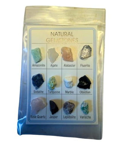 Fossil & Mineral ID Charts - 2 charts with Genuine specimens - 12 Minerals and 8 Fossils - Great for Science Fairs - Ideal Fossil and Mineral Sampler