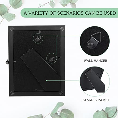 3 Pcs Insect Display Case Wall Mount Clear Bug Display Case Collection Box with Anti Fade UV Protection Top Eva Foam Pin 300 Pcs and 3 Sizes Pins Insect Shadow Box for Butterfly Specimen