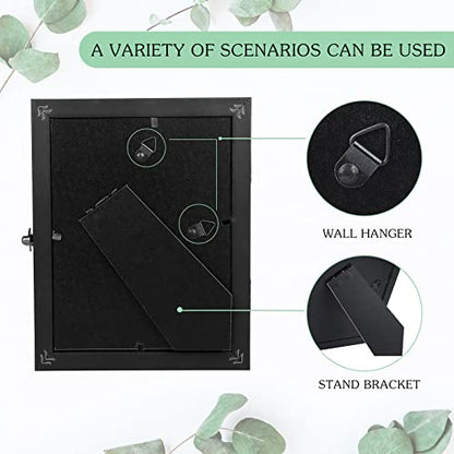 3 Pcs Insect Display Case Wall Mount Clear Bug Display Case Collection Box with Anti Fade UV Protection Top Eva Foam Pin 300 Pcs and 3 Sizes Pins Insect Shadow Box for Butterfly Specimen