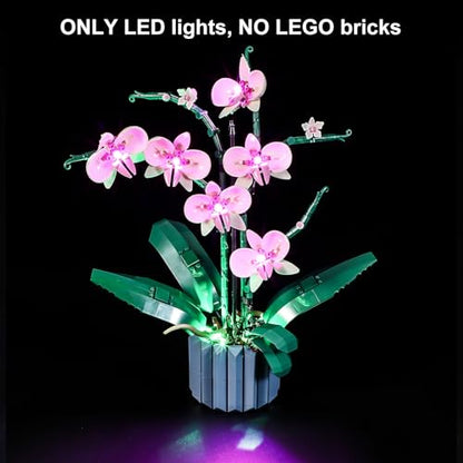 Vaodest LED Light for Lego Orchid 10311 Plant Decor Building Blocks Model,Design and Configuration Compatible with Model 10311(LED Light Only, Not Building Block Kit) - style: 10311 Orchid