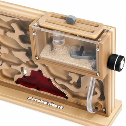 Expanse Ant Farm Nest, Large Formicarium Habitat with Cave System, Moisture System and Integrated Outworld for Ant Keeping