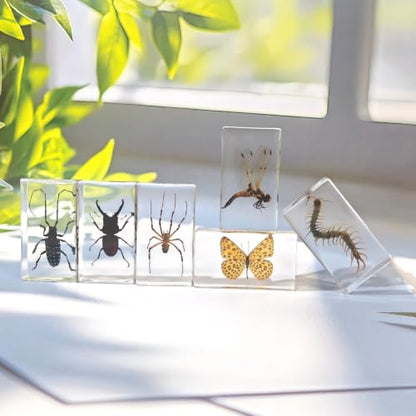 6 Pcs Taxidermy Bugs in Resin, Specimen Insects Butterfly Centipede Beetle - size: 6 ML Insects