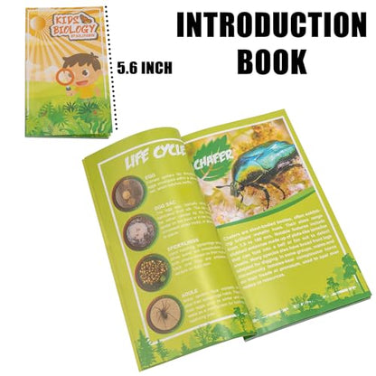 Insect Specimen Set, Bugs Collection Scientific Education Gift for Kids Aged 3-8-12 (Cicada, Wasp, Spider, Scorpion, Locust, Chafer) - style: Cicada, Wasp, Spider, Scorpion, Locust, Chafer