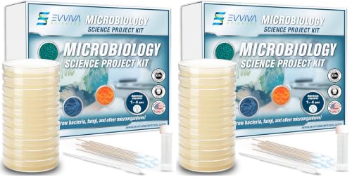 Evviva Sciences Microbiology Science Project Kit, Pre-Poured Agar Plates for Students, Agar Petri Dishes to Learn Microbiology, with Educational Experiment eBook (Pack of 2) - size: Medium (6 X 4 X 4in) (Pack of 2)