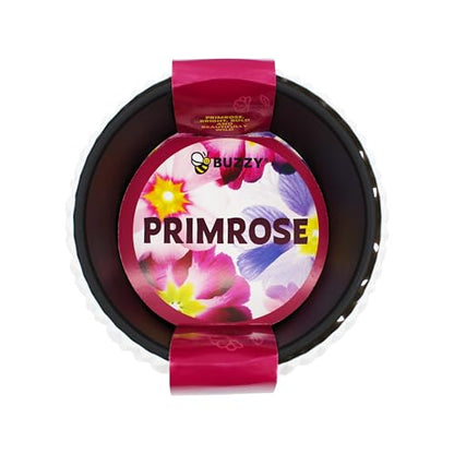 Buzzy Seeds Primrose Grow Kit, Decorative Planter, Indoor Flower Garden