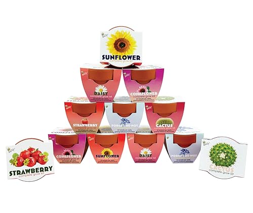 Buzzy Seeds Assorted Flower Grow Kit 12-Pack, Terracotta Pots, 6 Types - color: Classic Assorted